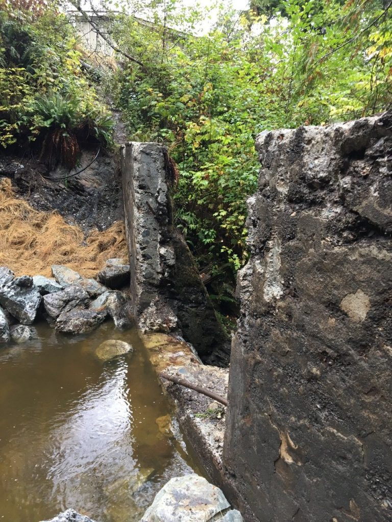 Defiance Creek Dam Demolition, MSR Solutions Inc.