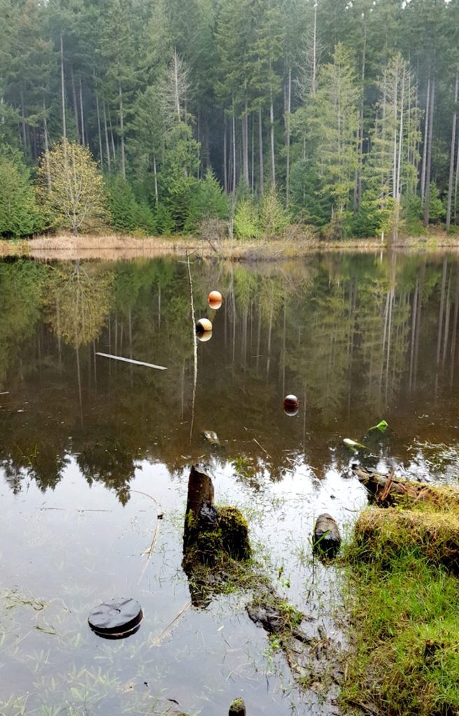 Port Browning Marine Resort, Pender Island, MSR Solutions Inc.