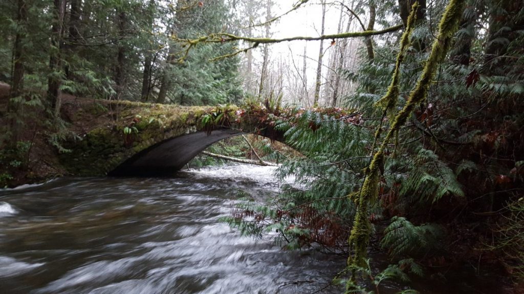 Stonebridge, Shawnigan Creek, MSR Solutions